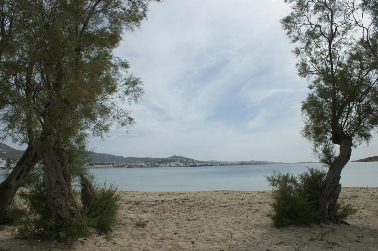 Eleftheria 酒店 Parikia (Paros)